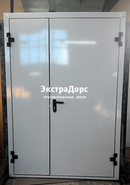 Противопожарная дверь EI 30 3 типа двупольная белая в Домодедово  купить