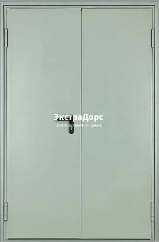 Двухстворчатая огнестойкая дверь с порошковым напылением ДПМ-01-30 входная металлическая двупольная (левая)