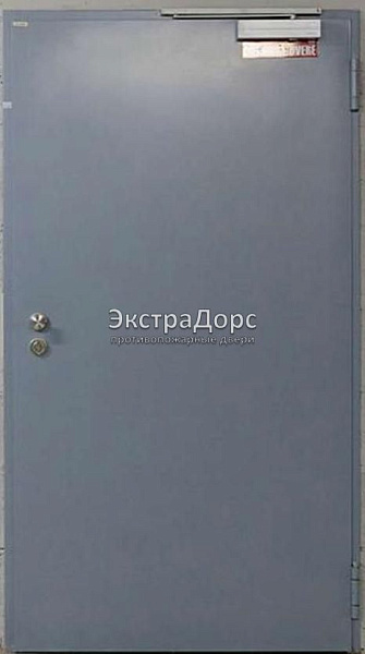 Противопожарная дверь однопольная дымогазонепроницаемая металлик в Домодедово  купить