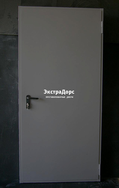 Дверь металлическая противопожарная EI 60 ДПМ 2 типа серая в Домодедово  купить
